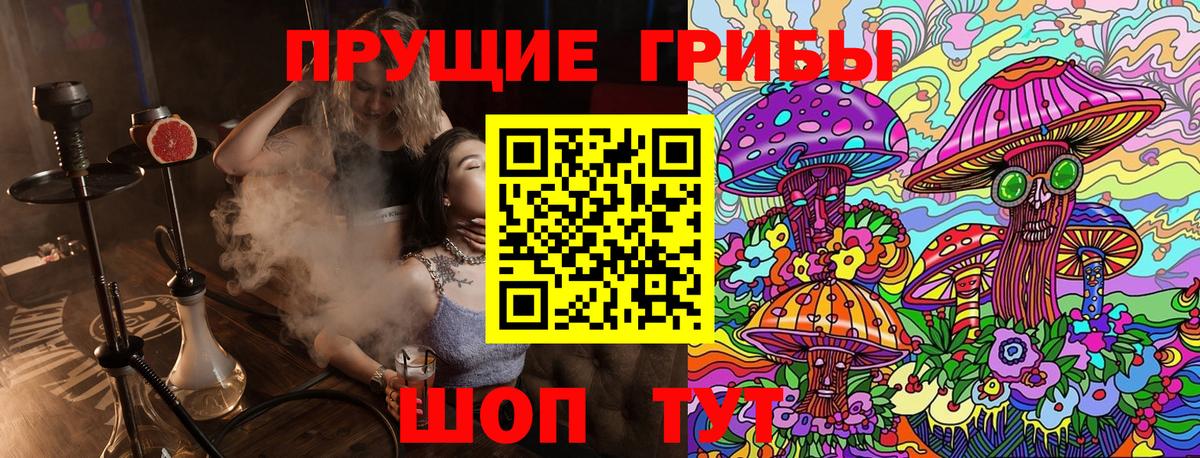 Галлюциногенные грибы Psilocybe  Вход с VPN  Тара 