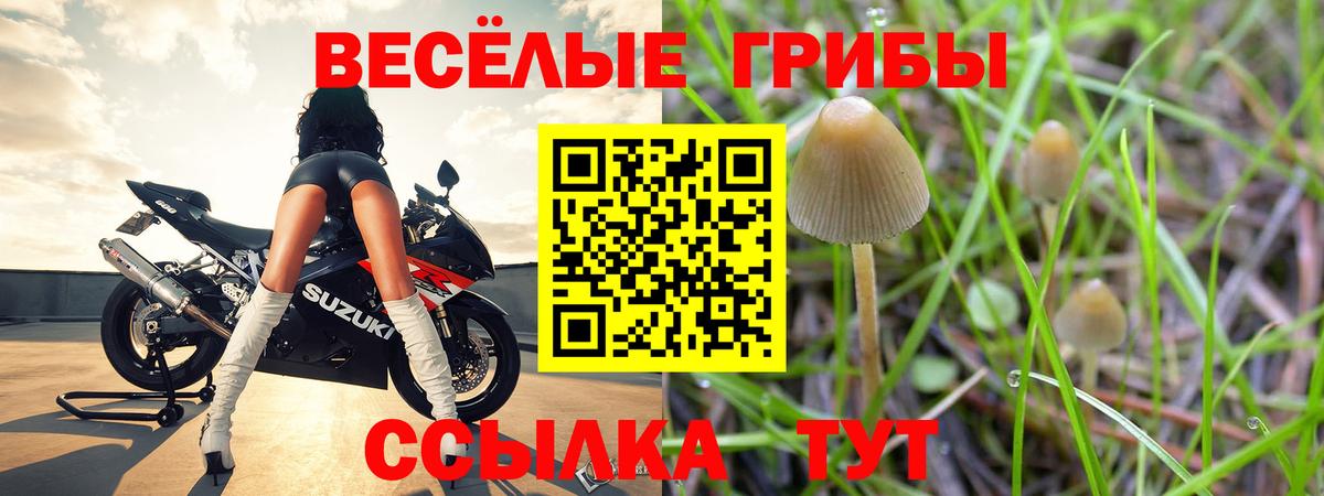 Галлюциногенные грибы ЛСД Тара
